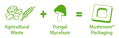 mushroom_packaging-3